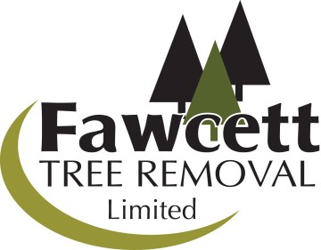 Fawcett Tree Removal